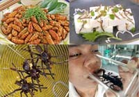 Một số loài côn trùng mà bạn hoàn toàn có thể ăn được