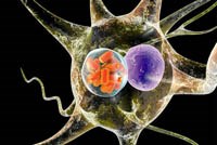 Phần 1: Công nghệ nano đã và đang được ứng dụng trong y học