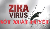 Miễn dịch sốt xuất huyết có thể bảo vệ chống lại Zika có triệu chứng