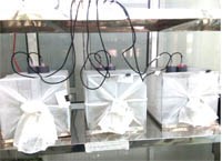 Ứng dụng kỹ thuật cho ăn nhân tạo bằng máy hemotek trong việc nuôi giữ các loài muỗi ở Labo Viện Sốt rét-Ký sinh trùng-Côn trùng Quy Nhơn