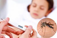 Sốt xuất huyết Dengue: Cập nhật tình hình sốt xuất huyết Dengue đến tháng 6/2020 ở khu vực Tây Thái Bình Dương 