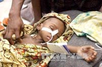  Ký sinh trùng sốt rét kháng thuốc artemisinin đang đe dọa châu Phi.