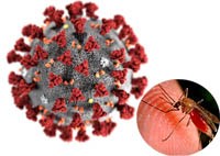 Đảm bảo và duy trì các dịch vụ sốt rét thiết yếu trong bối cảnh dịch bệnh COVID-19