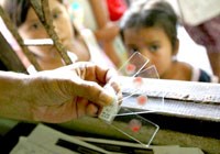 Nguy cơ và giải pháp ngăn chặn ký sinh trùng sốt rét kháng thuốc 