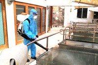 Ngành Y tế chủ động và tăng cường các biện pháp phòng chống dịch bệnh mùa hè