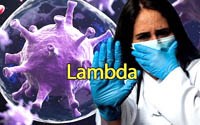 Cập nhật một số thông tin về biến thể Lambda của virus SARS-CoV-2  