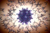 Tìm ra kháng thể COVID-19 “khó tránh khỏi” vô hiệu hóa mọi biến chủng SARS-CoV-2 