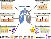 Tác động của COVID-19 trên các bệnh nhân hút thuốc lá