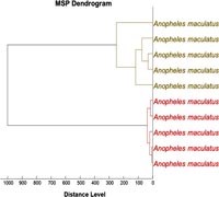  Khối phổ MALDI-TOF trong định loại các loài muỗi được thu thập tại Việt Nam