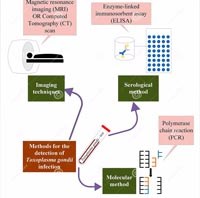 Thêm một kỹ thuật sinh học phân tử mới giúp tăng tốc loại trừ sốt rét và nghiên cứu một số lĩnh vực y sinh khác