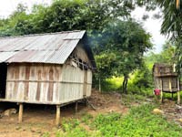 Đánh giá tình hình sốt rét, ký sinh trùng và côn trùng tháng 12 và 12 tháng năm 2022 tại khu vực miền Trung - Tây Nguyên