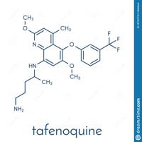 Phần 2. Thêm bằng chứng về thuốc Tafenoquine (Krintafel®, Arakoda®, Kozenis®) góp phần thúc đẫy loại trừ sốt rét Plasmodium vivax  và  Plasmodium ovale 