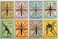 Phần 1. Những liệu pháp điều trị sốt rét cổ xưa còn giá trị quan trọng?