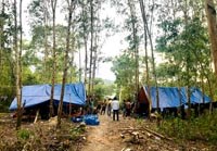 Một số khó khăn, thách thức ảnh hưởng đến lộ trình loại trừ sốt rét hiện nay