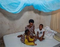 Tổ chức Y tế Thế giới khuyến nghị sử dụng loại màn ngủ chống muỗi mới dựa trên nghiên cứu của Trường y học nhiệt đới & vệ sinh dịch tễ London (LSHTM) và các đối tác