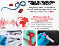 Phần 1: Bệnh do virus Marburg có tỉ lệ tử vong cao nhưng không dễ lây kiểm dịch y tế người nhập cảnh từ vùng dịch trở về là quan trọng!