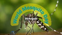 Ngày Muỗi Thế giới năm 2023 - Chủ đề, tầm quan trọng và khẩu hiệu