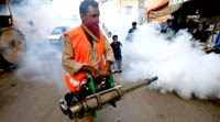 Sốt Dengue và Sốt xuất huyết Dengue sẽ lấy đi phía Nam châu Âu, Mỹ và châu Phi trong thập kỷ này: Nhà khoa học của WHO cho biết