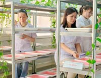 Cán bộ nữ Viện Sốt rét KST-CT Quy Nhơn đam mê trong nghiên cứu khoa học