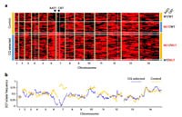 Nghiên cứu xác định cơ chế di truyền quan trọng của kháng thuốc ở ký sinh trùng sốt rét gây tử vong cao nhất
