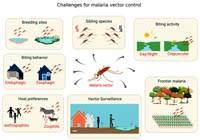 Phòng chống véc tơ sốt rét: Thực trạng, khoảng trống phòng chống và các công cụ mới (Phần 2)