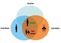 Phòng chống véc tơ sốt rét:Thực trạng, khoảng trống phòng chống và các công cụ mới (Phần 3)