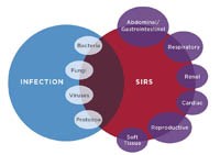 Hội chứng đáp ứng viêm hệ thống & sốt rét ác tính, nhiễm trùng huyết - Nguyên nhân, triệu chứng, chẩn đoán và điều trị