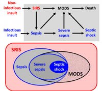 Hội chứng đáp ứng viêm hệ thống & sốt rét ác tính, nhiễm trùng huyết - Nguyên nhân, triệu chứng, chẩn đoán và điều trị (Phần 2-Hết)