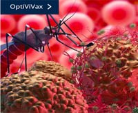 OptiViVax: Một sự hợp tác quốc tế mới để tối ưu hóa vaccine sốt rét phòng chống lại  Plasmodium vivax  trong tương lai (Phần 1)