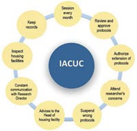 Phê duyệt khía cạnh đạo đức y sinh trong chăm sóc và sử dụng động vật trong nghiên cứu (Phần 1)