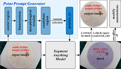 Phần 2. Tăng cường kiểm soát véc tơ: nhận diện và đếm trứng muỗi Aedes albopictus (Diptera: Culicidae) dựa trên trí tuệ nhân tạo (tiếp theo Phần 1)