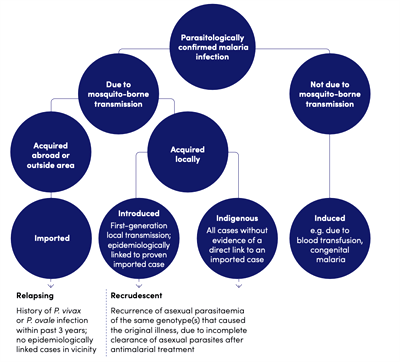Cập nhật Hướng dẫn giám sát, theo dõi và đánh giá chương trình sốt rét (Phần 2)