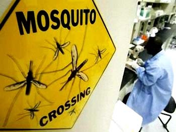 Khung đa mô hình tự động hóa để phát hiện sốt rét áp dụng học sâu kết hợp (Phần 1)