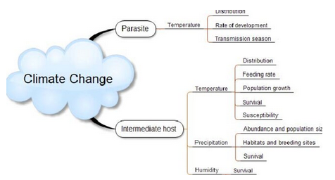 Tình hình bệnh ký sinh trùng trong bối cảnh biến đổi khí hậu (Phần 1-còn nữa)
