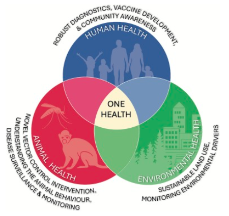 Phát triển hệ thống giám sát đa loài và ứng dụng công nghệ số trong kiểm soát sốt rét Plasmodium knowlesi lây truyền từ khỉ sang người- Phần 3-Hết