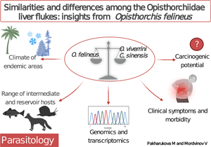 Sán lá gan nhỏ Opisthorchis viverrini: Hiệu quả điều trị praziquantel và biện pháp phòng bệnh (còn nữa)