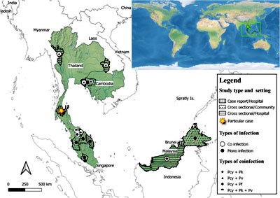 Plasmodium cynomolgi - Thận trọng với sự gia tăng loài ký sinh trùng sốt rét lây truyền từ khỉ sang người (Phần 6-Hết)