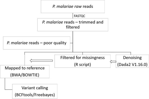 Xác định cấu trúc & đa dạng di truyền quần thể Plasmodium malariae tại khu vực cận sa mạc sahara, châu phi từ biến thể microsatellite và đa hình đơn nucleotide liên kết trong các gen kháng thuốc sốt rét tương đồng (Phần 2)

​

​