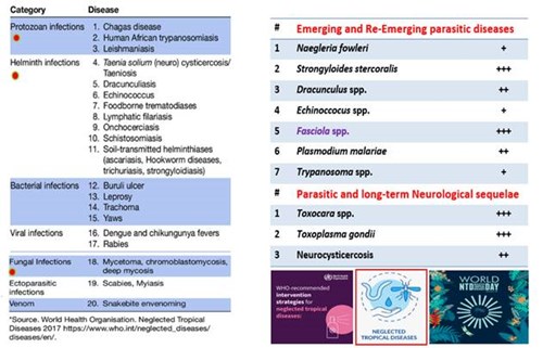 Kỷ niệm Ngày Thế giới về các bệnh nhiệt đới bị lãng quên 2025