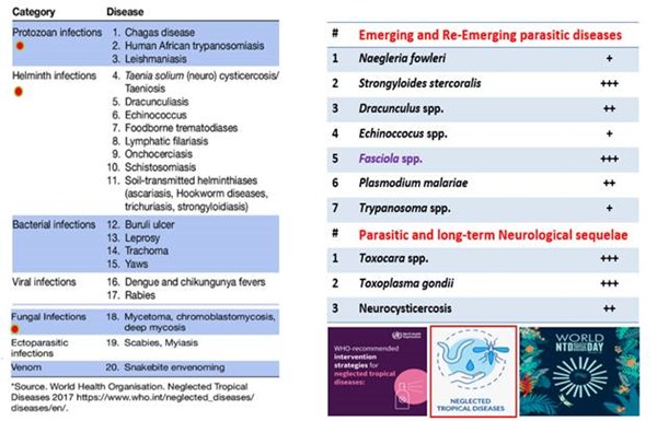 Kỷ niệm Ngày Thế giới về các bệnh nhiệt đới bị lãng quên 2025