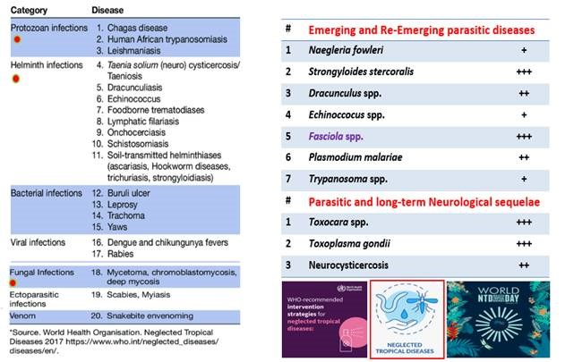 Kỷ niệm Ngày Thế giới về các bệnh nhiệt đới bị lãng quên 2025