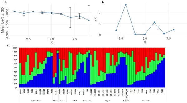 Xác định cấu trúc & đa dạng di truyền quần thể Plasmodium malariae tại khu vực cận sa mạc sahara, châu phi từ biến thể microsatellite và đa hình đơn nucleotide liên kết trong các gen kháng thuốc sốt rét tương đồng (Phần 3-Hết)

​