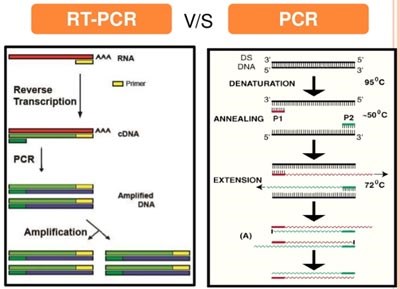 Một số xét nghiệm sinh học phân tử trong nghiên cứu một số bệnh truyền nhiễm ở người (Tiếp theo và hết)