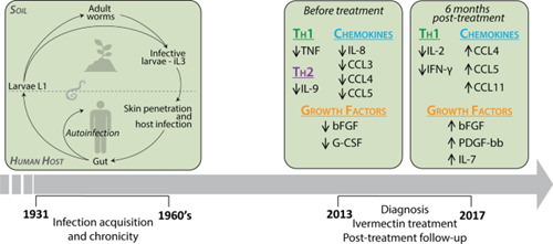 Đồng nhiễm giun lươn trên bệnh nhân suy giảm miễn dich hay có bệnh lý nền: nguy cơ tử vong rất cao (Phần 4)