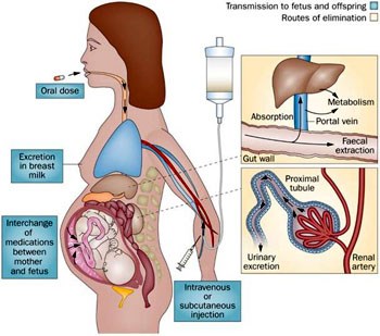 Đồng thuận quốc tế năm 2025 về quản lý bệnh viêm ruột kích thích ở phụ nữ mang thai