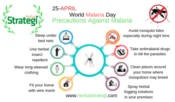 Nhân Ngày Thế giới Phòng chống Sốt rét 2026: Tăng nhận thức về tác hại và các chiến lược phòng chống quan trọng (Phần 3)